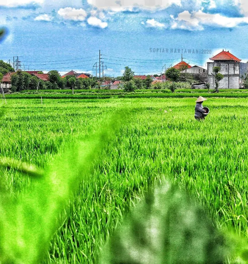 旅馆 Bali Eco Living Yoga Healing Meditation And Retreat Center 丹帕沙 印尼