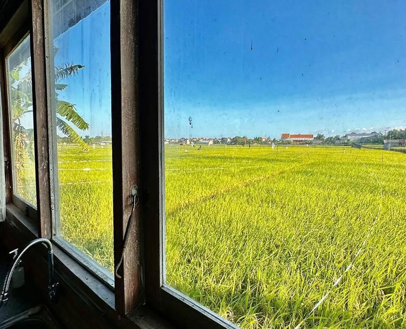 Bali Eco Living Yoga Healing Meditation And Retreat Center Denpasar  Denpasar (Bali)