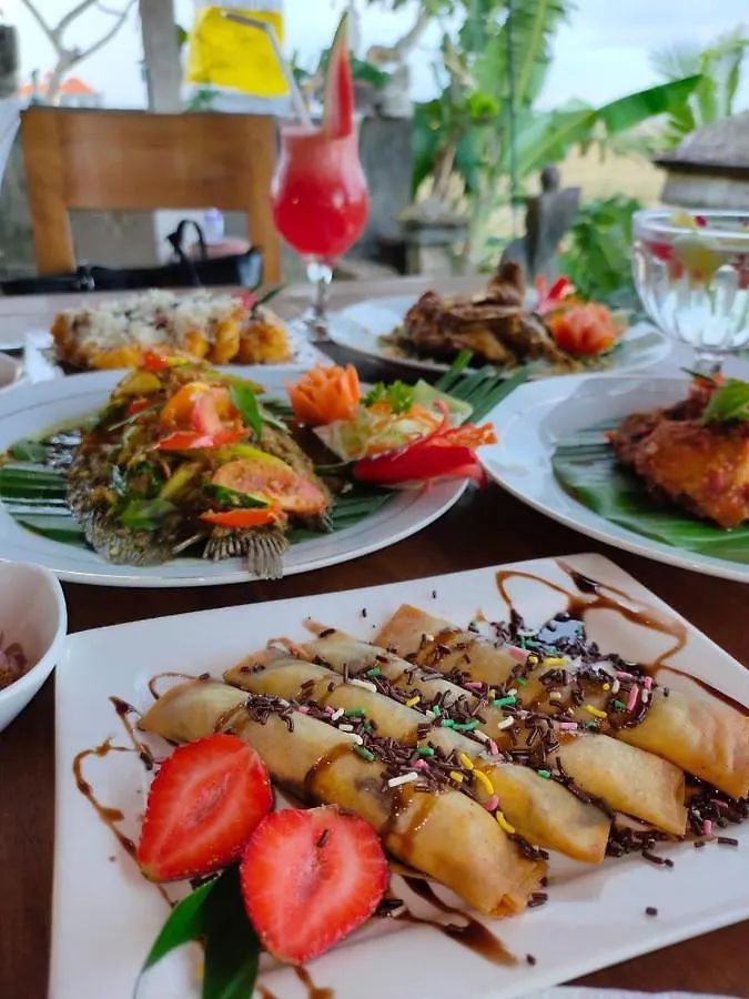 Hostel Bali Eco Living Yoga Healing Meditation And Retreat Center Denpasar  Indonesia